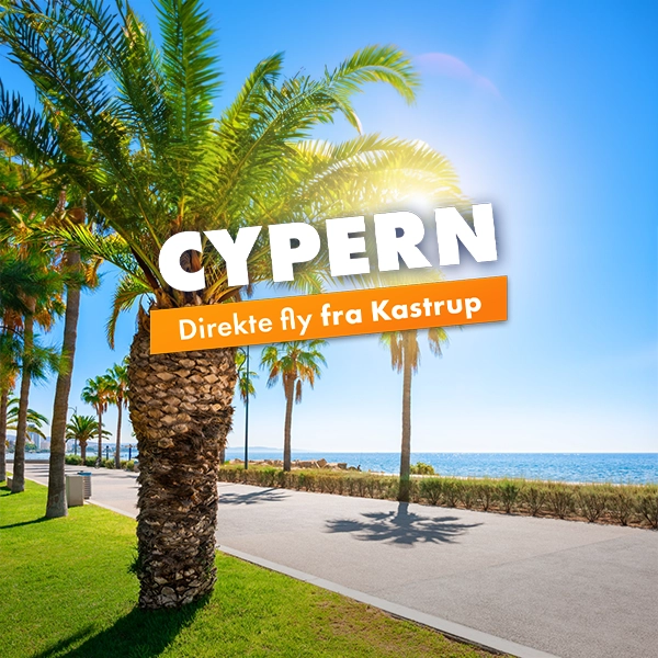 Cypern